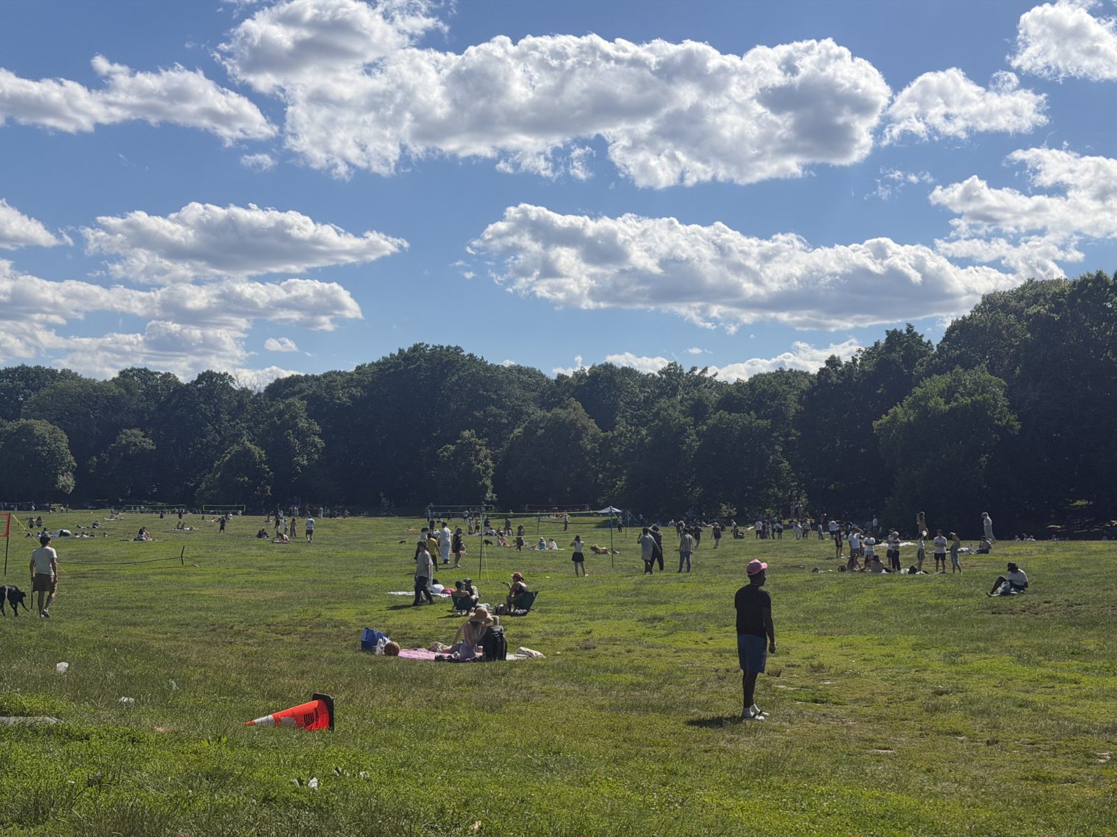 prospect park