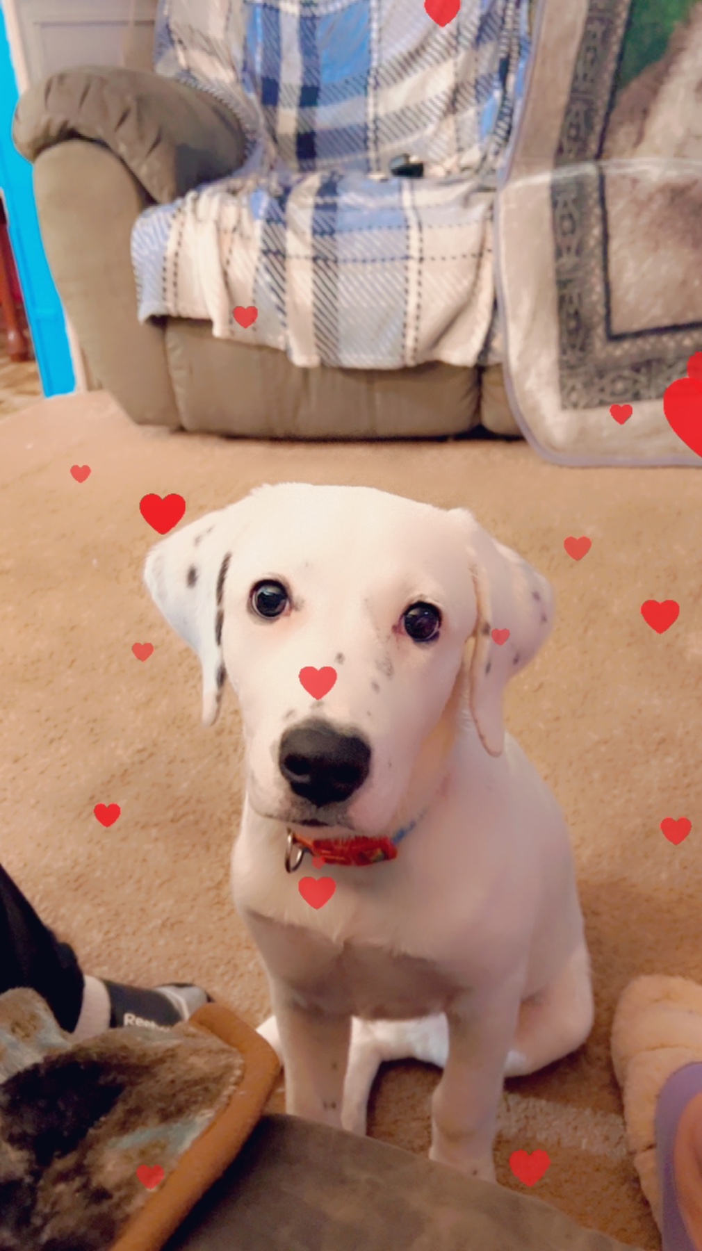 the cutest ever