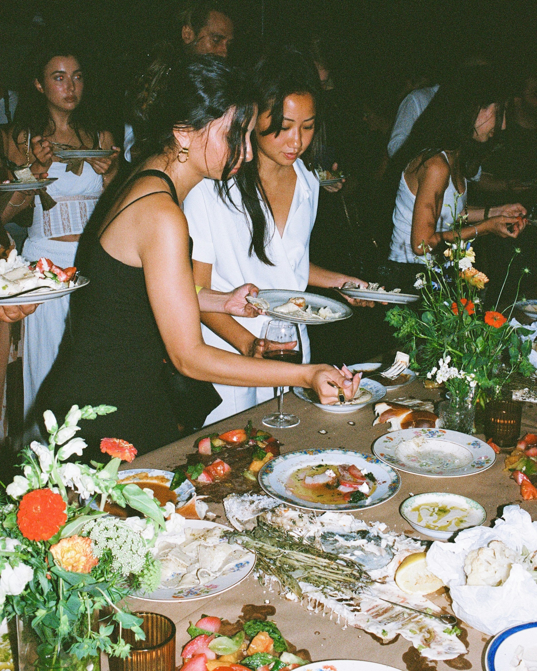 dinner party diaries